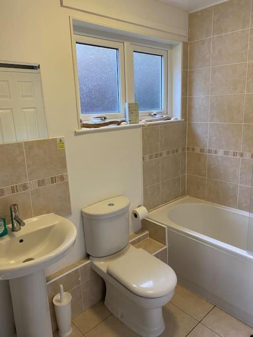 3 Bedroom Lodge With Hot Tub On Lovely Quiet Holiday Park In Cornwall Gunnislake Eksteriør billede